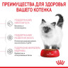 Сухой корм ROYAL CANIN KITTEN 36 для котят 2 кг.
