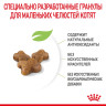 Сухой корм ROYAL CANIN KITTEN 36 для котят 2 кг.