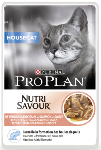 Delicate cat food shop